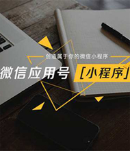 深圳網(wǎng)站配套小程序開(kāi)發(fā)